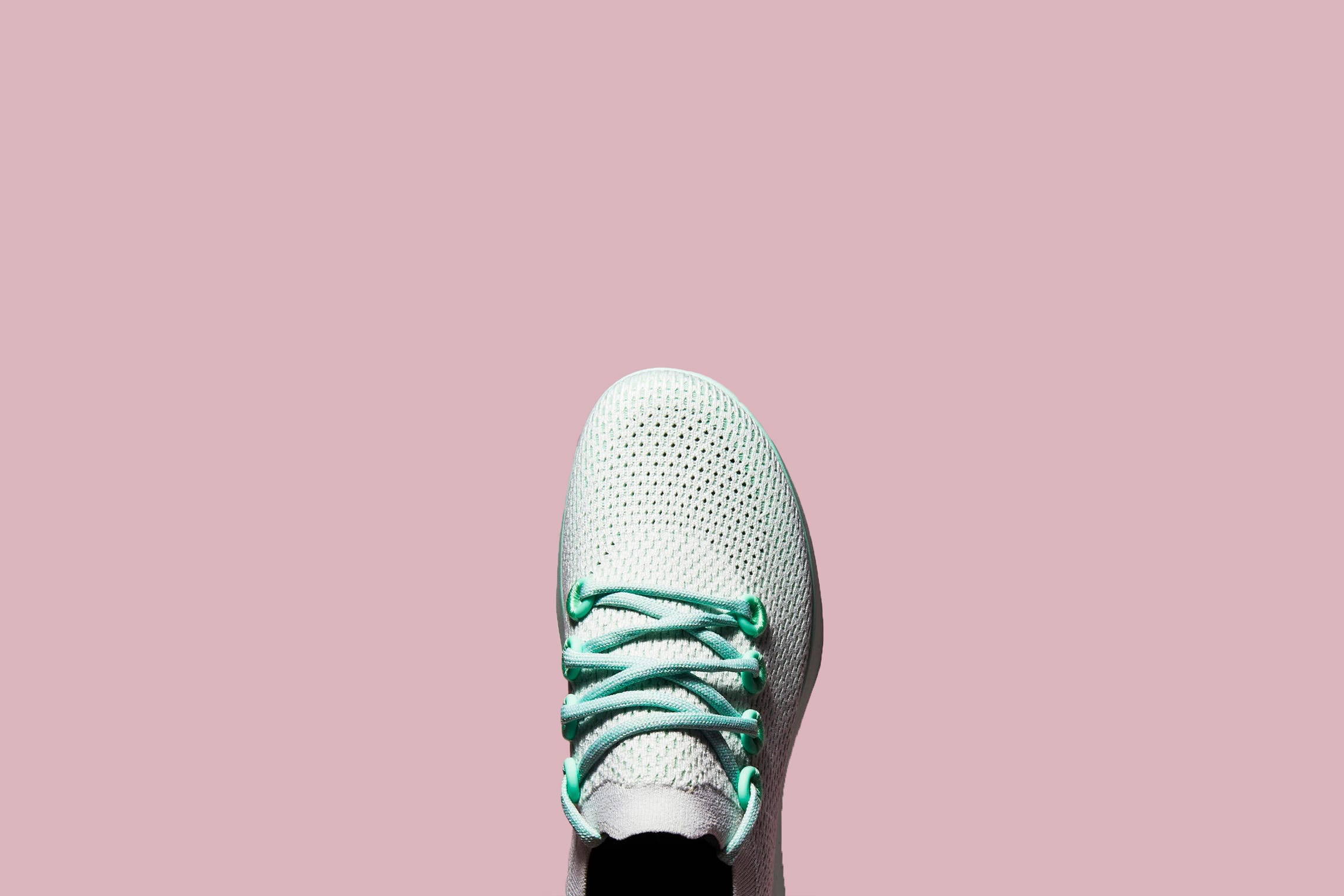 allbirds tree dasher