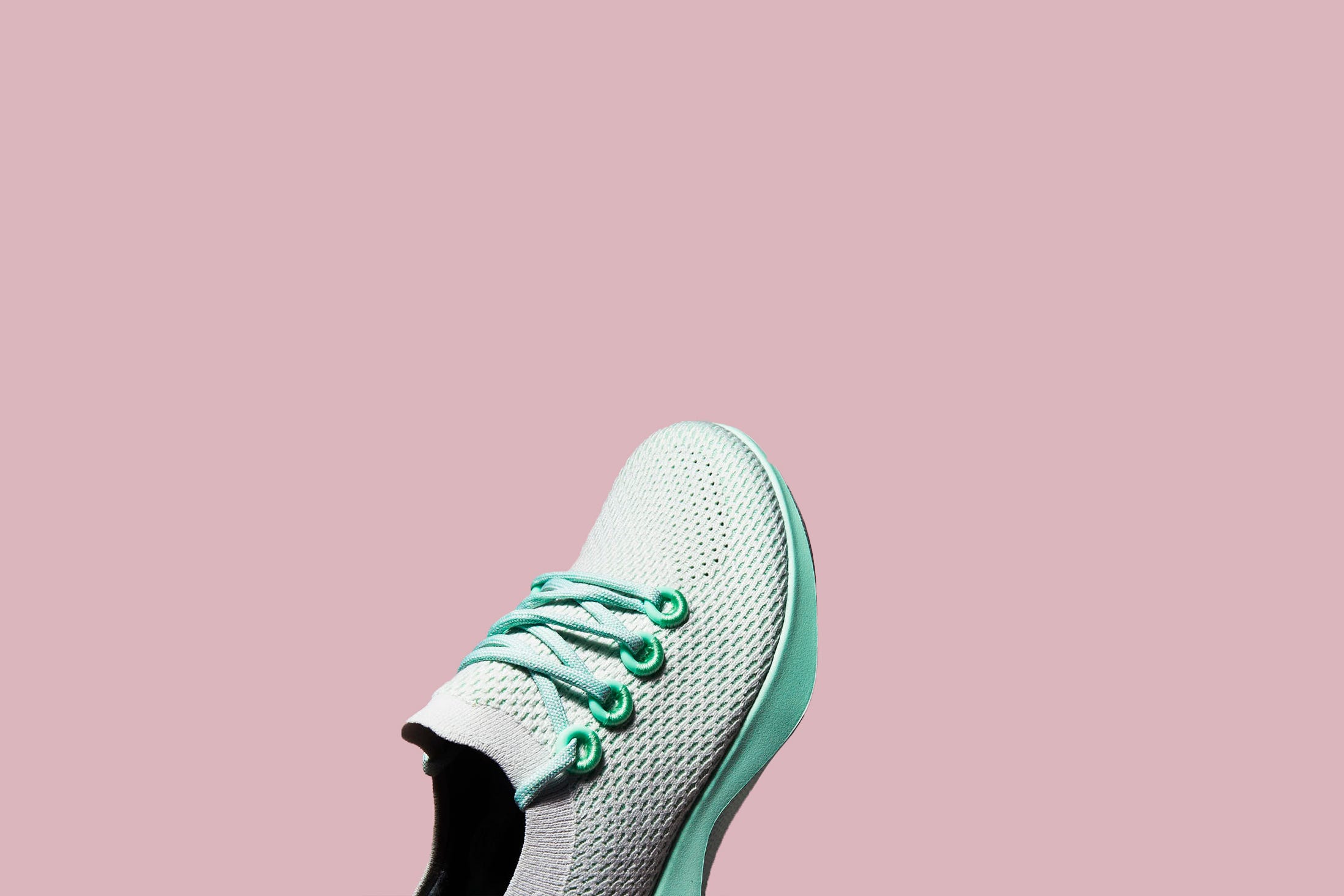 allbirds tree dasher