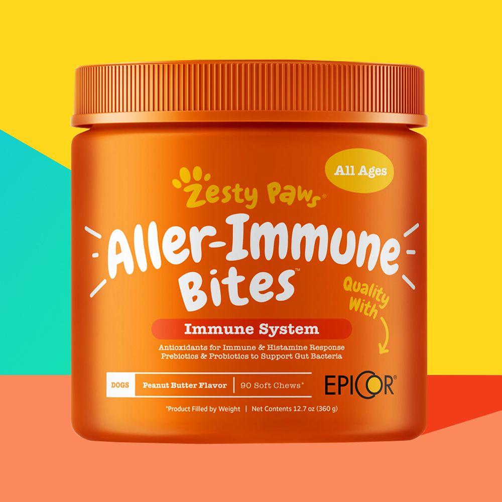 Dog allergy outlet immune bites