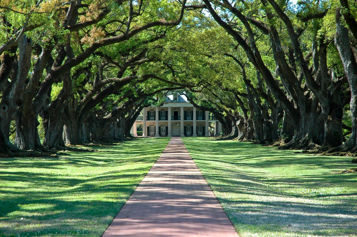What Is a Plantation? The Dark History of the South's Most Beautiful Homes