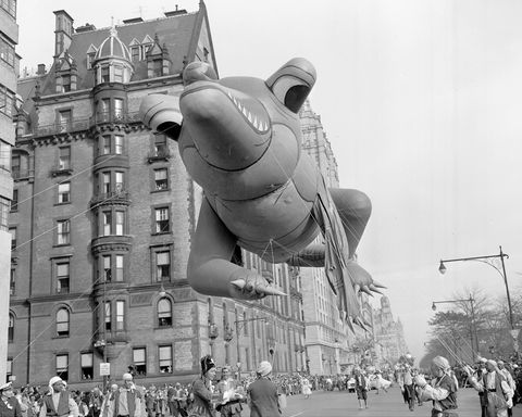 alligator stays aloft in macy's thanksgiving parade with punctured arm