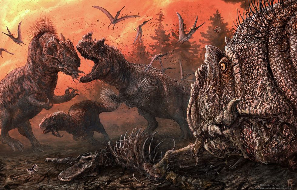 In deze illustratie vechten Allosaurussen om de resten van andere dinosaurirs