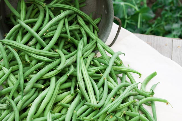 Allotments: Growing Fruit & Veg Is Only Part Of The Attraction