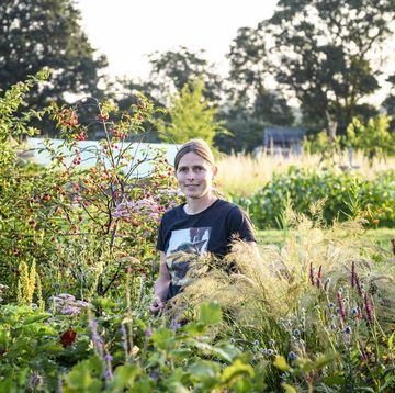 allotment garden in oxfordshire wins bbc gardeners’ world magazine garden of the year award 2021