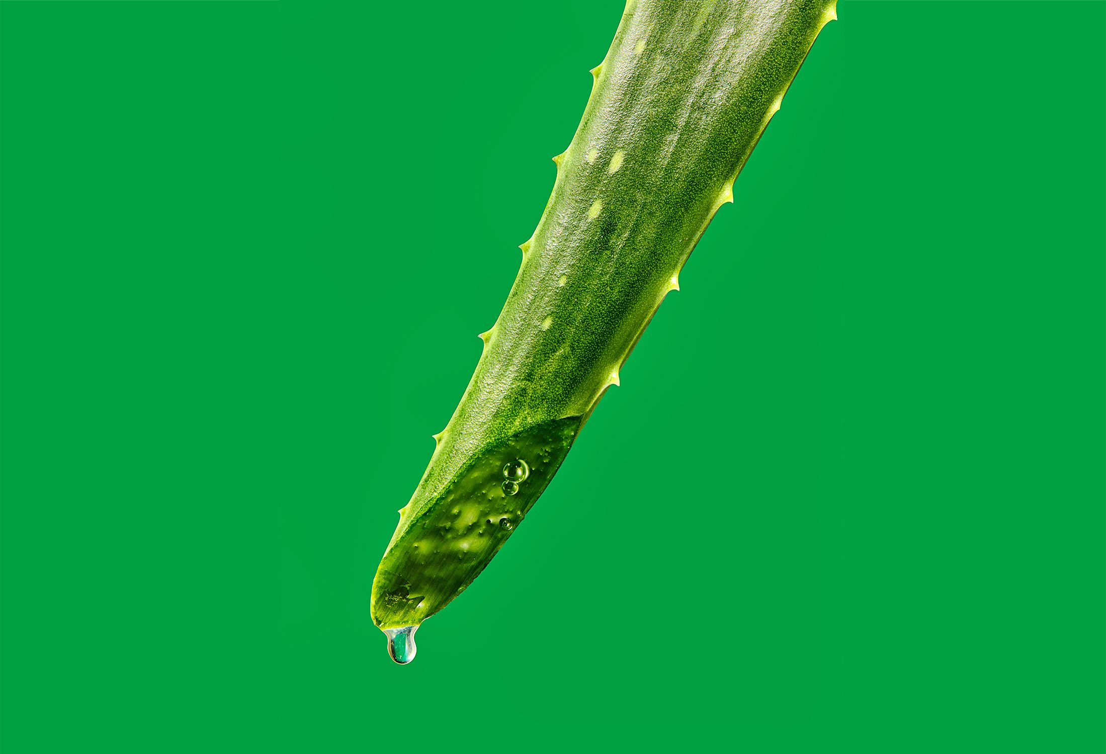 8 Clever Ways to Use Aloe Vera for Better Skin and More