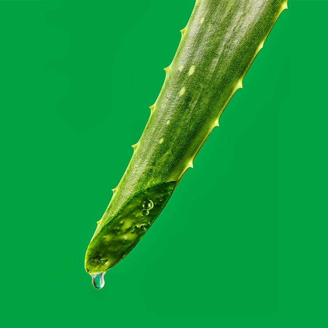 aloe