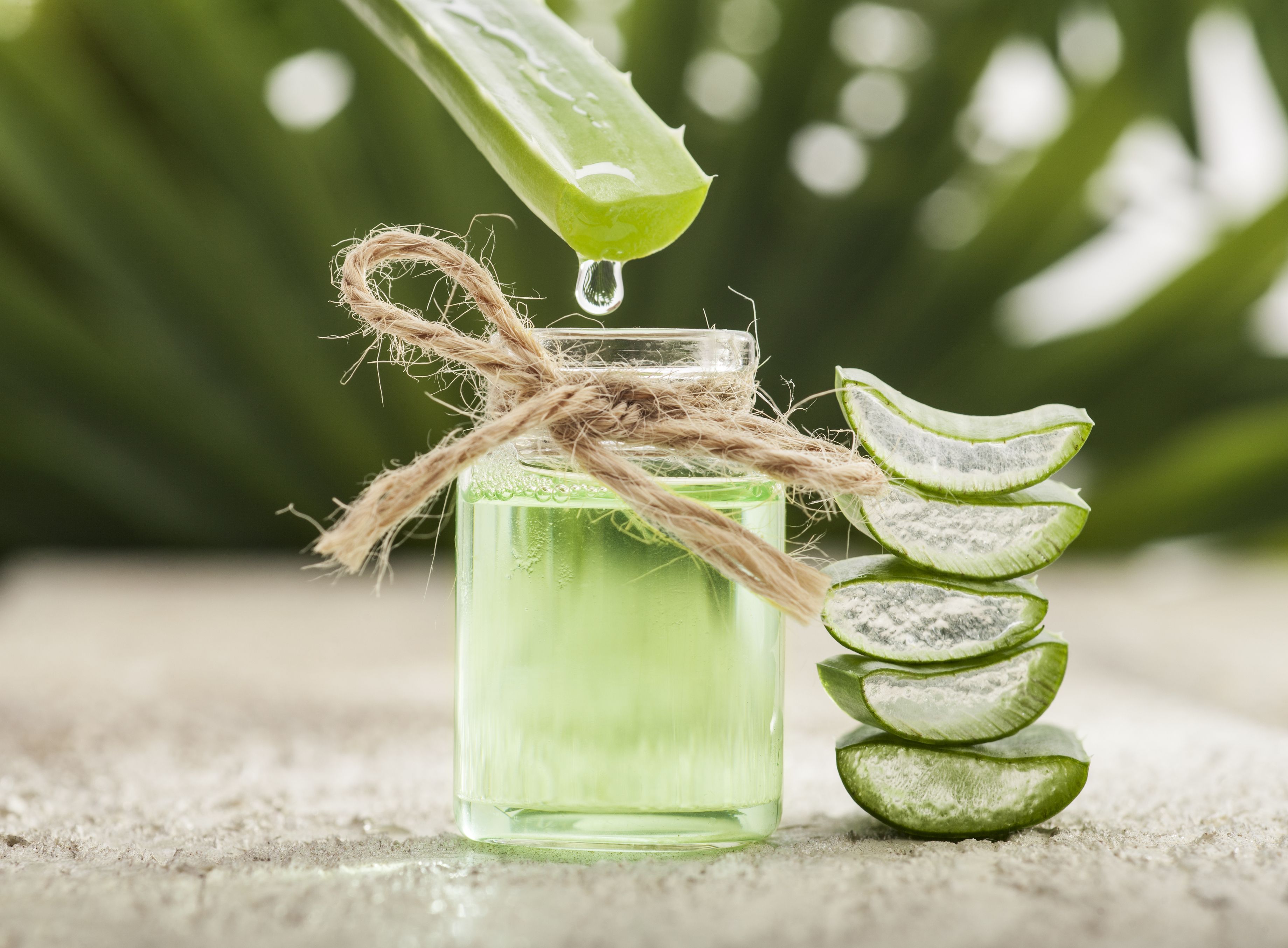 Can Drinking Aloe Juice Help You Lose Weight