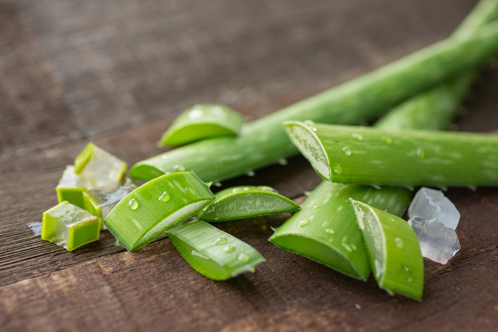 aloe vera