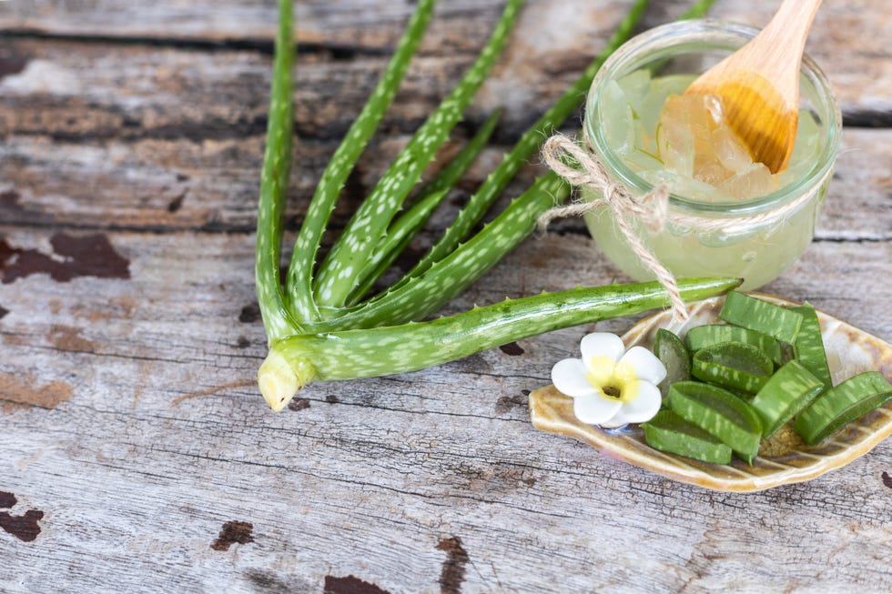 aloe vera,spa