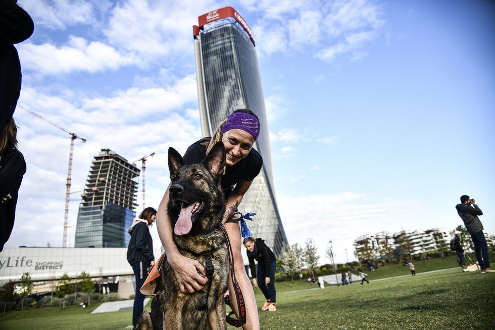 foto lapresse marco alpozzi05 aprile 2019 milano, italia sportrunningmilano running festival mrf day 2nella foto dog runphoto lapresse marco alpozziapril 05, 2019 milan, italysportrunningmilano running festival mrf day 2in the pic dog run