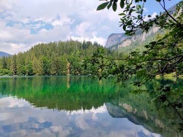 predaia in val di non