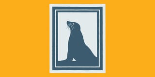 alta california guides
