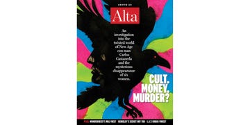 alta journal, issue 28, cover