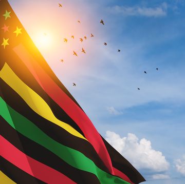 alternative juneteenth flag with flying birds in blue cloudy sky. since 1865. design of banner.