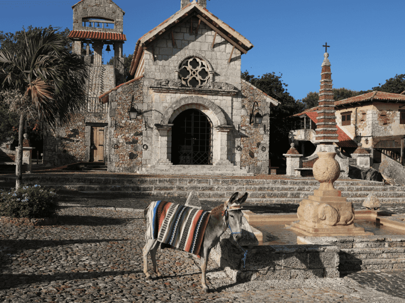 historic stone church facade with a donkey wearing a colorful blanket in a courtyard