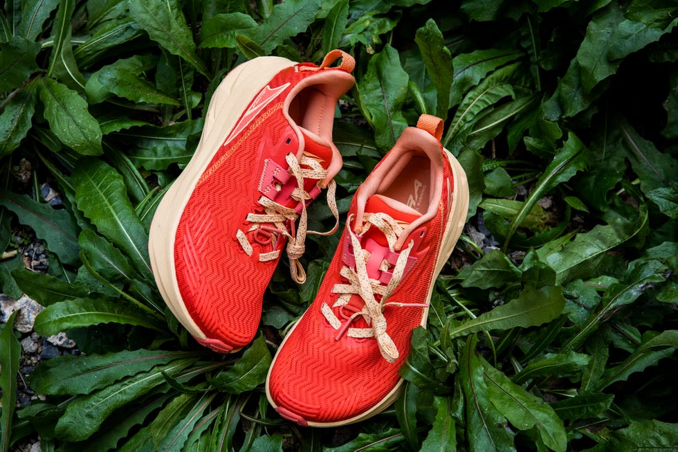 running shoes placed on green foliage