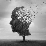 Alzheimer Disease alzheimer disease