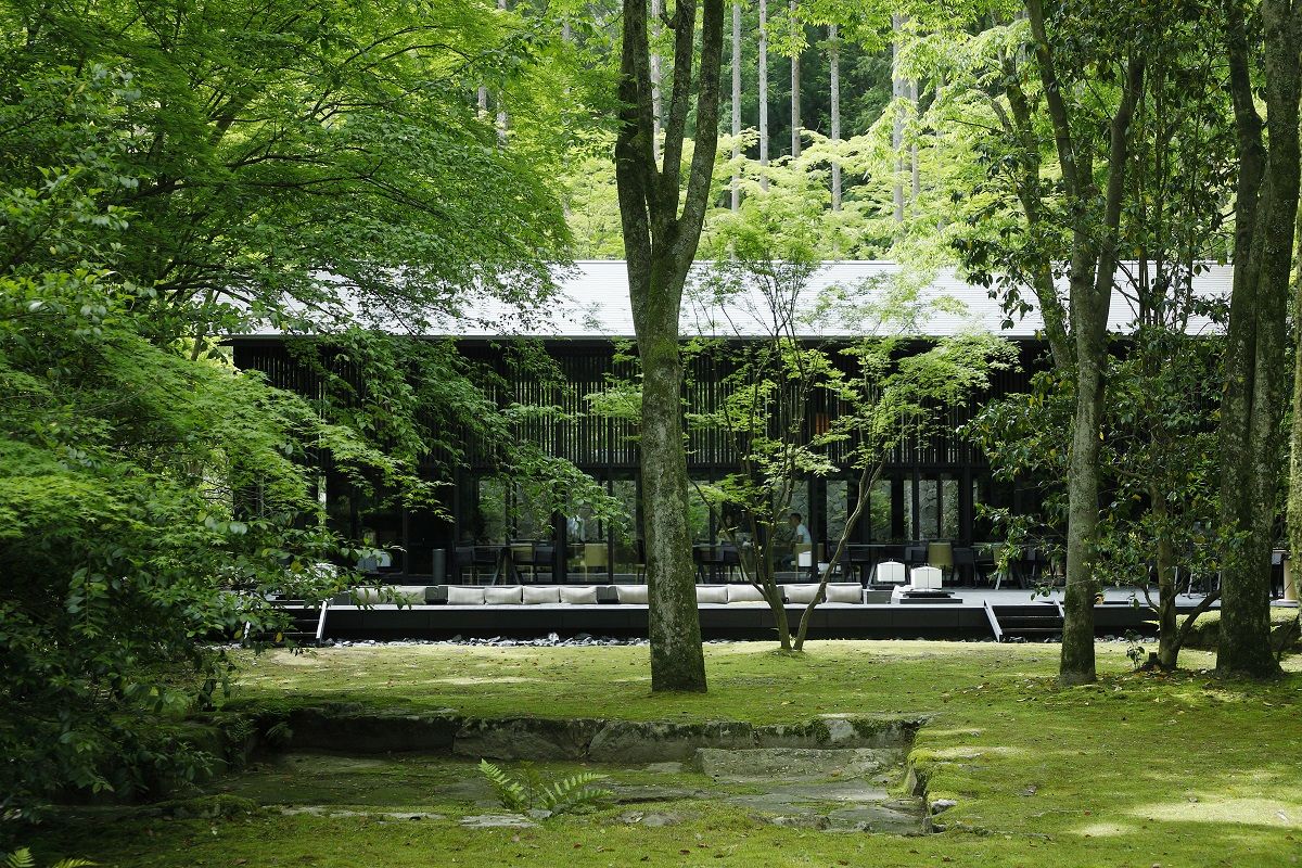 次の旅は、青もみじ輝く静謐な森の庭にあるアマン京都での