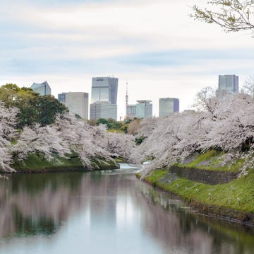 Best luxury hotels in tokyo best luxury hotels in tokyo