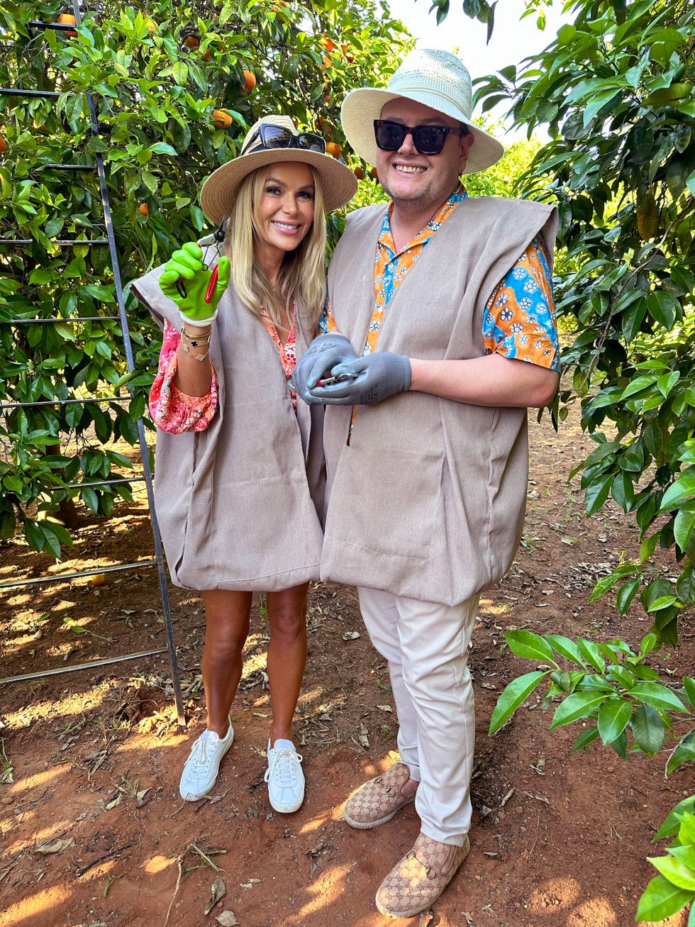 amanda alan's spanish job,28 02 2025,6,amanda holden, alan carr,amanda holden and alan carr among the orange trees at a farm in seville,voltage tv,voltage tv