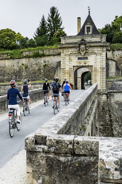 Cycling, Bicycle, Recreation, Road cycling, Tourism, Vehicle, Wall, Endurance sports, Road bicycle, Architecture, 