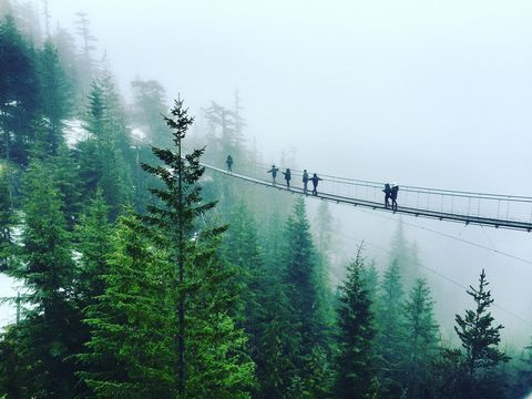 Schoolkinderen wagen zich over de in mist gehulde hangbrug bij de SeatoSkygondel in Squamish Brits Colombia