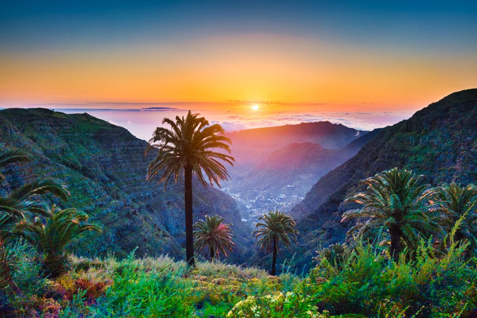 amazing tropical scenery with palm trees and mountains at sunset