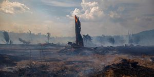 view of a burnt area of forest in altamira, para state, brazil, oin the amazon basin, on august 27, 2019   brazil will accept foreign aid to help fight fires in the amazon rainforest on the condition the latin american country controls the money, the president's spokesman said tuesday photo by joao laet  afp        photo credit should read joao laetafp via getty images