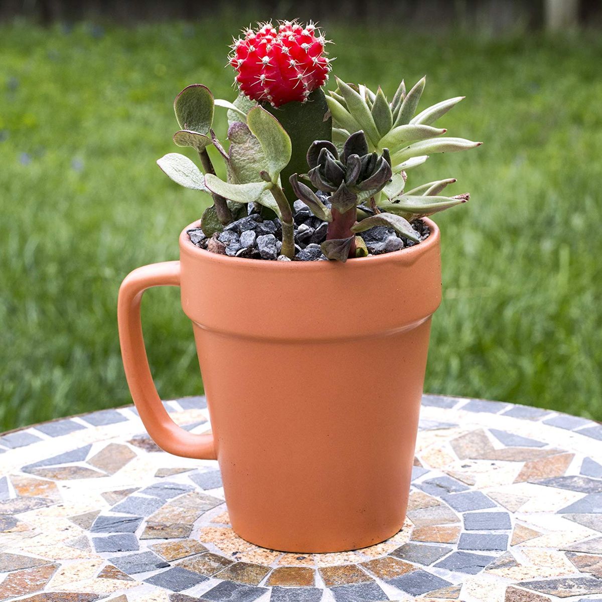 Amazon Ceramic Flower Pot and Mug