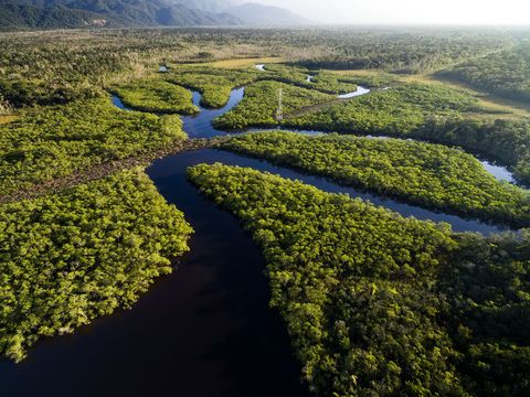Luchtfoto van het regenwoud in de noordelijke deelstaat Par in Brazili