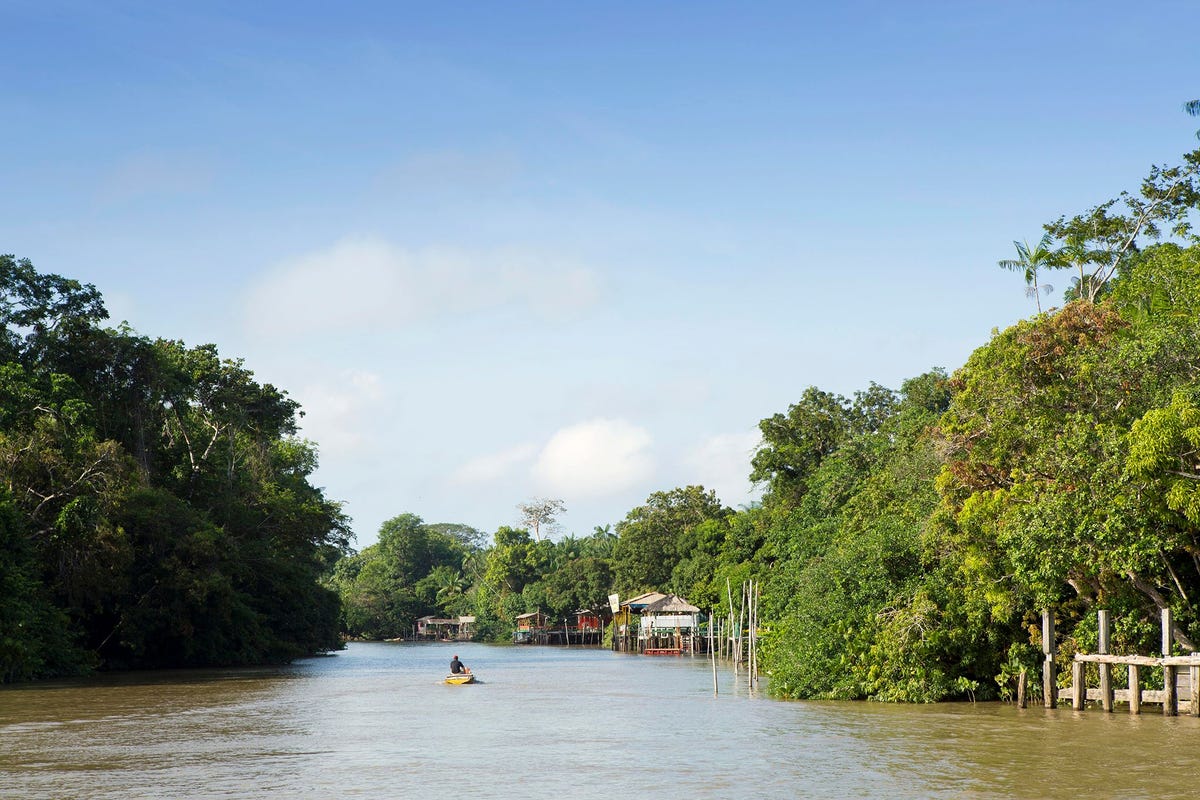 Een boot op een igarap overstroomde kreek in het Braziliaanse Amazonegebied bij Belm in de deelstaat Par waar het gezin vermist raakte