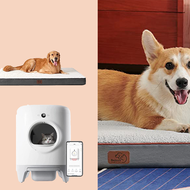 Best Prime Day pet deals: Tech, toys, beds, and more