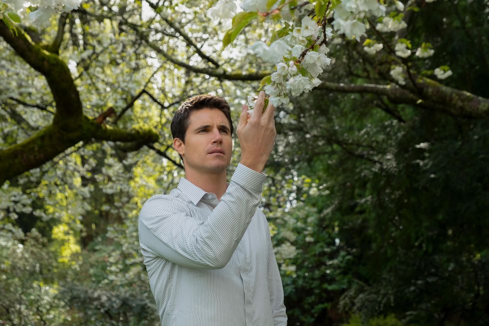 robbie amell as nathan brown holding a flower on a tree, upload