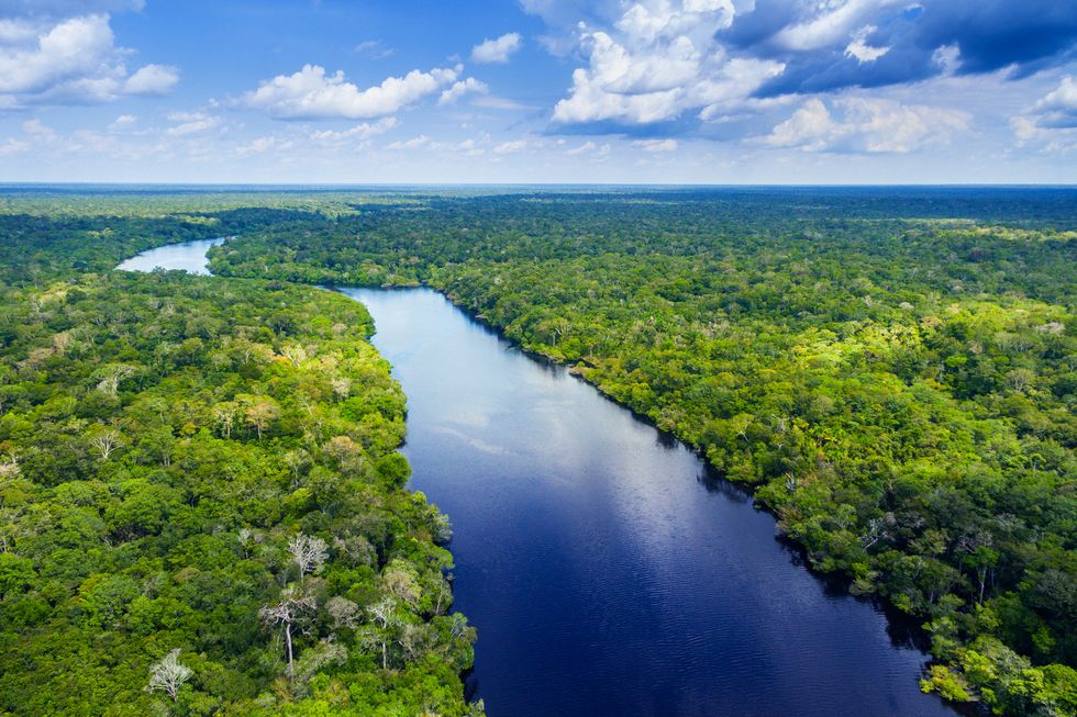 Seven natural wonders of the world: Amazon River