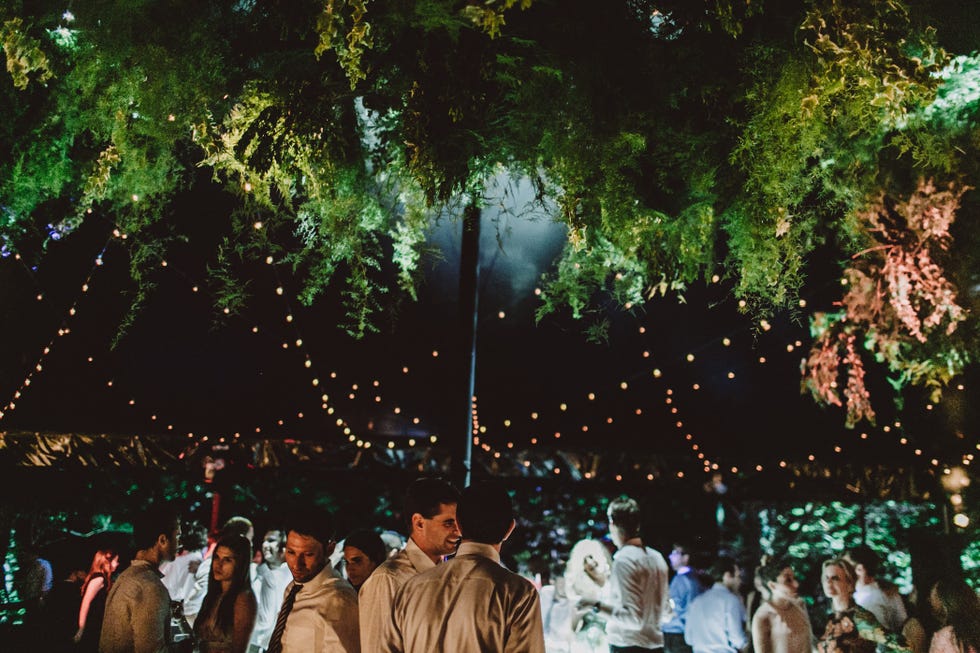 greenery installation