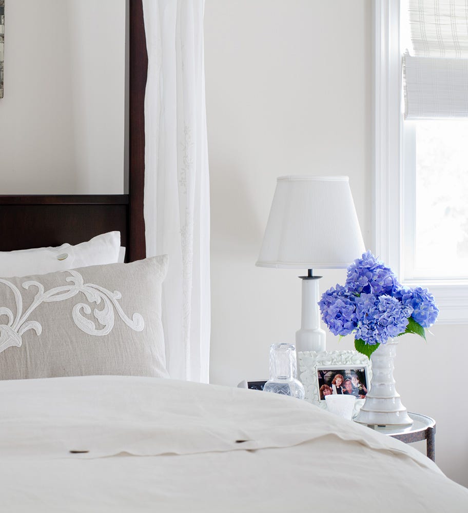 las hortensias son plantas de interior y exterior con el color pantone very peri 2022