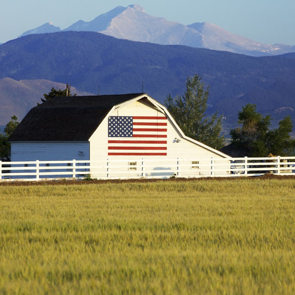 a barn with the american flag painted on the side standing in front of the rocky mountains of colorado wheat field in foreground for great copy space