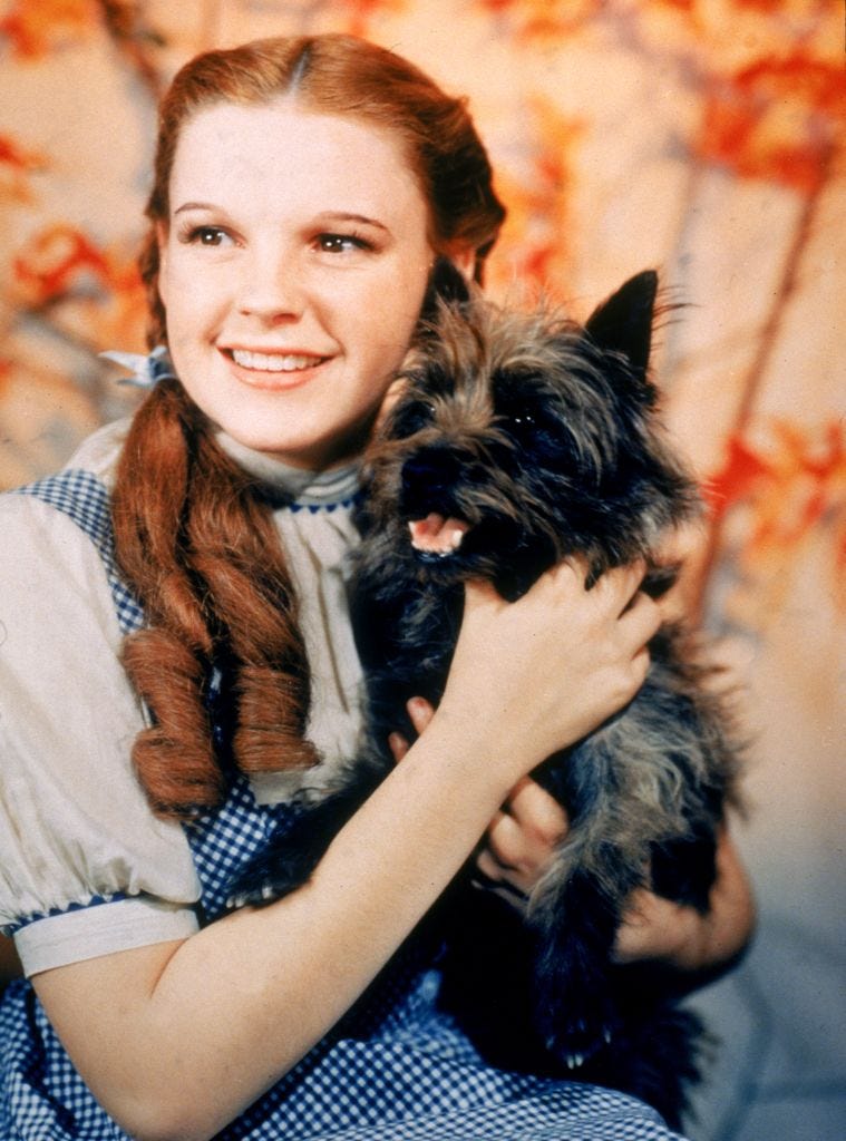 dorothy gale and toto