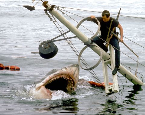 on the set of jaws
