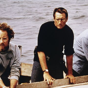 three men look over the side of a boat in water with concerned looks