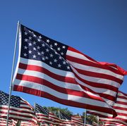 american flags blow in the wind on a bright sunny day in malibu, california