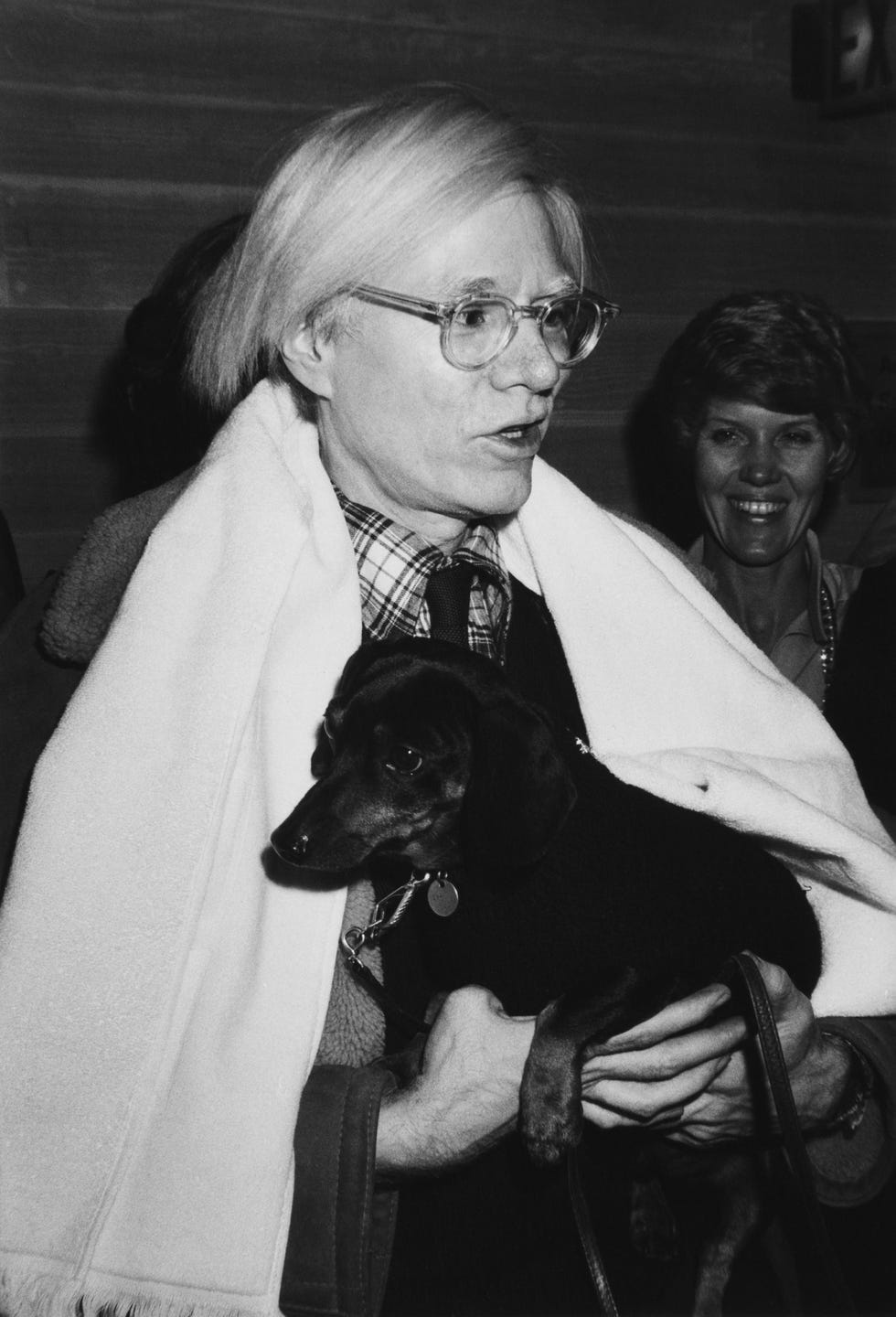 Warhol At McDonald's