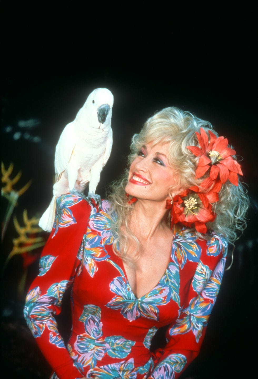 40 Photos of Dolly Parton Through the Years - Rare Photos of Young Dolly  Parton