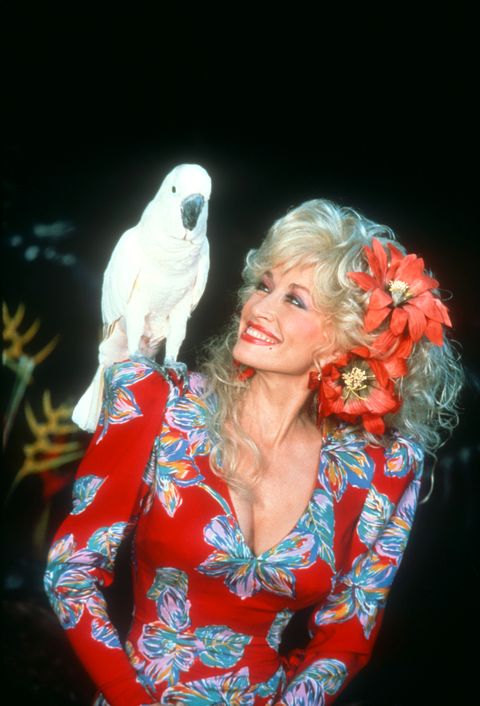 Dolly Parton with parrot 1987
