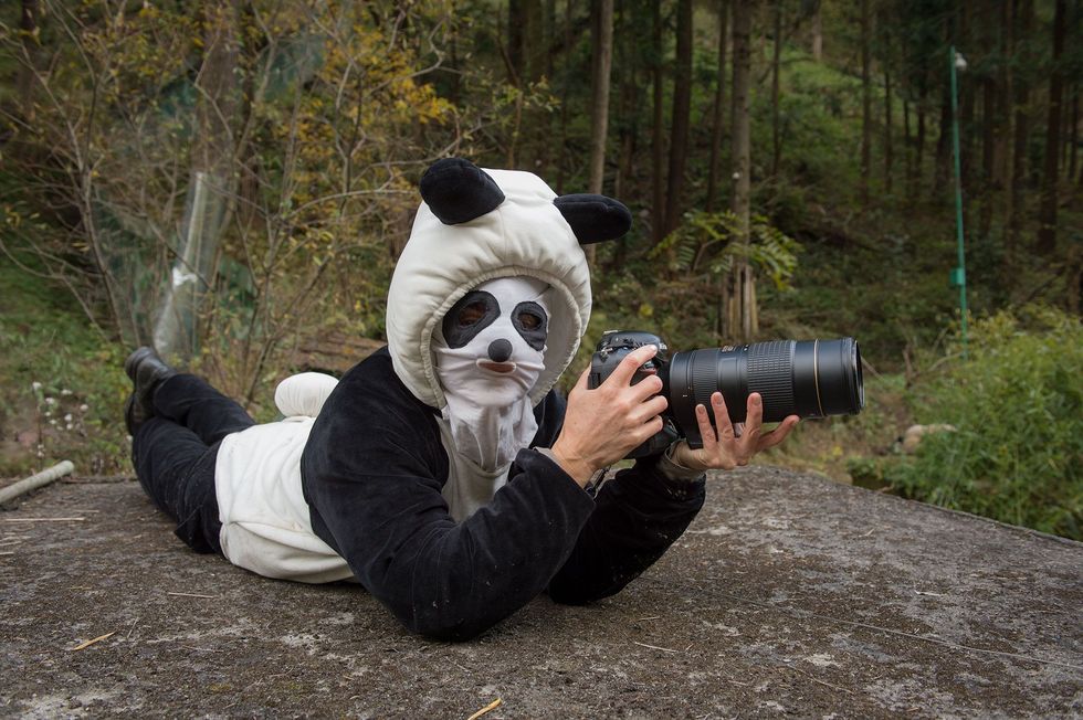 Ami Vitale droeg een speciale vermomming tijdens het fotograferen van pandas in het Hetaoping Wolong Panda Center Pandas die worden getraind om in het wild te leven mogen niet gewend raken aan mensen ook niet aan fotografen