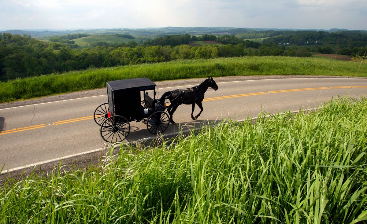 amish horse and buggy