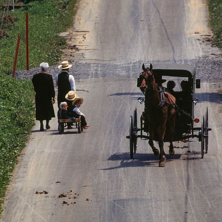 amish families passing on the road, lancaster