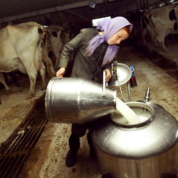meisje vult een tank met verse melk.