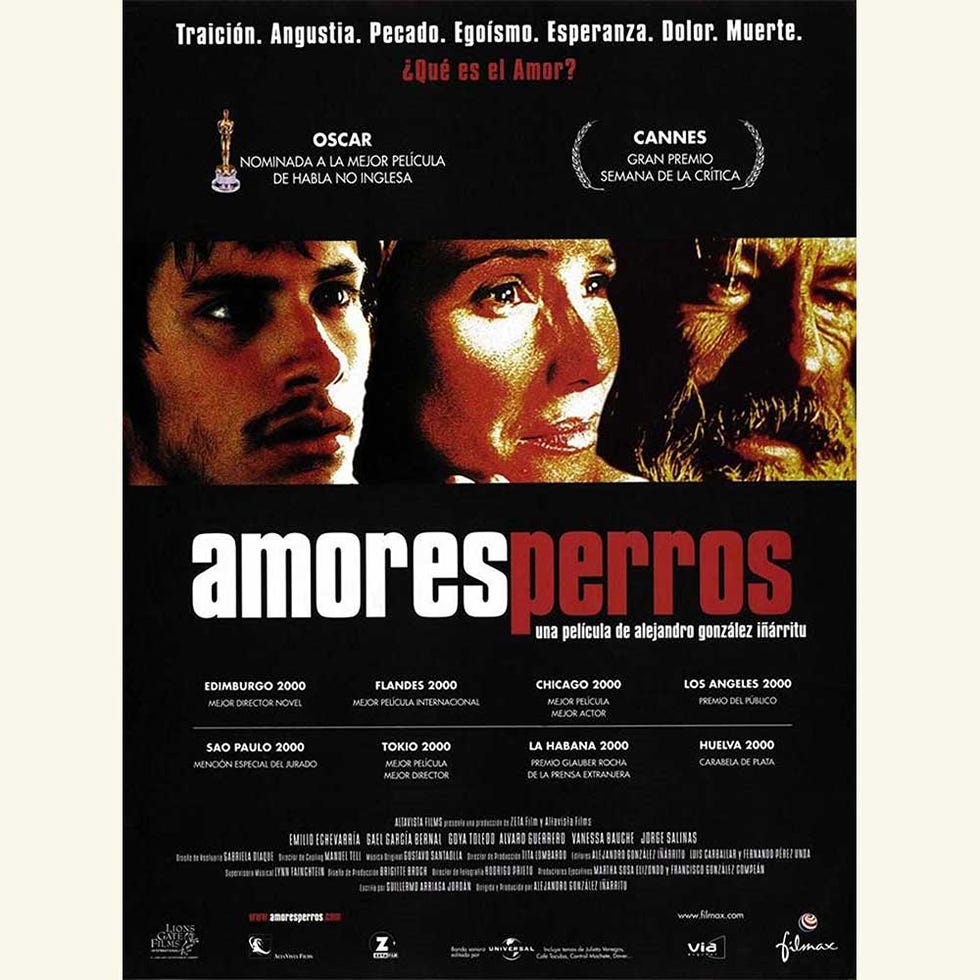 amores perros