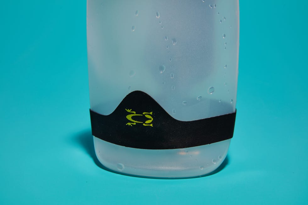Amphipod